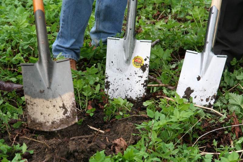 pepiniere-SERANON-min_work-lawn-flower-tool-green-backyard-1103633-pxhere.com